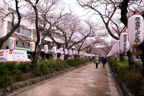 100403e6aeb5e89493e38195e3818fe38289