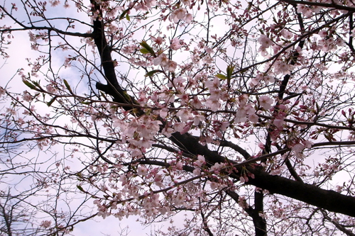 100403e6aeb5e89493e38195e3818fe382892